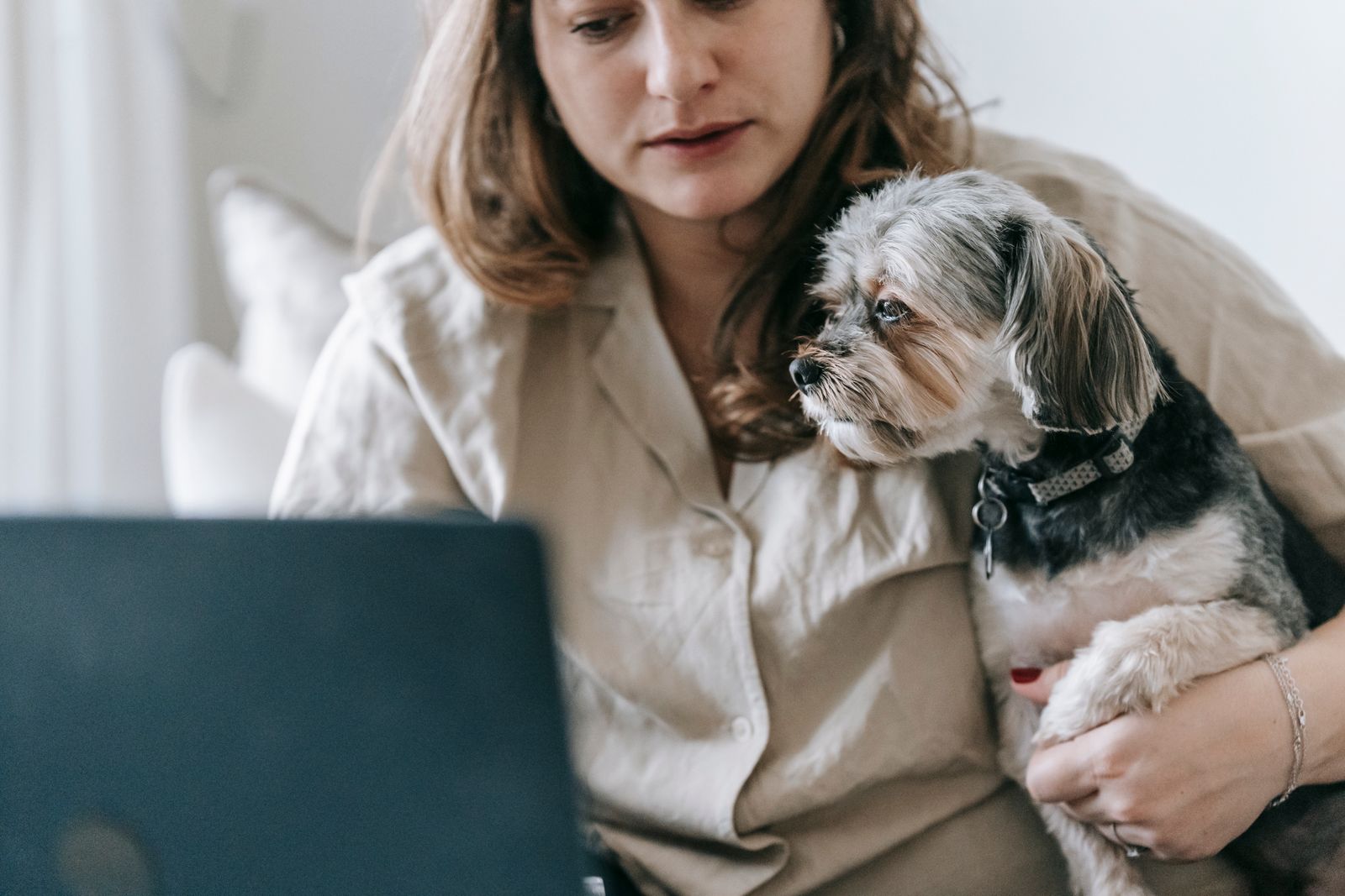 6 consejos para trabajar desde casa con mascotas