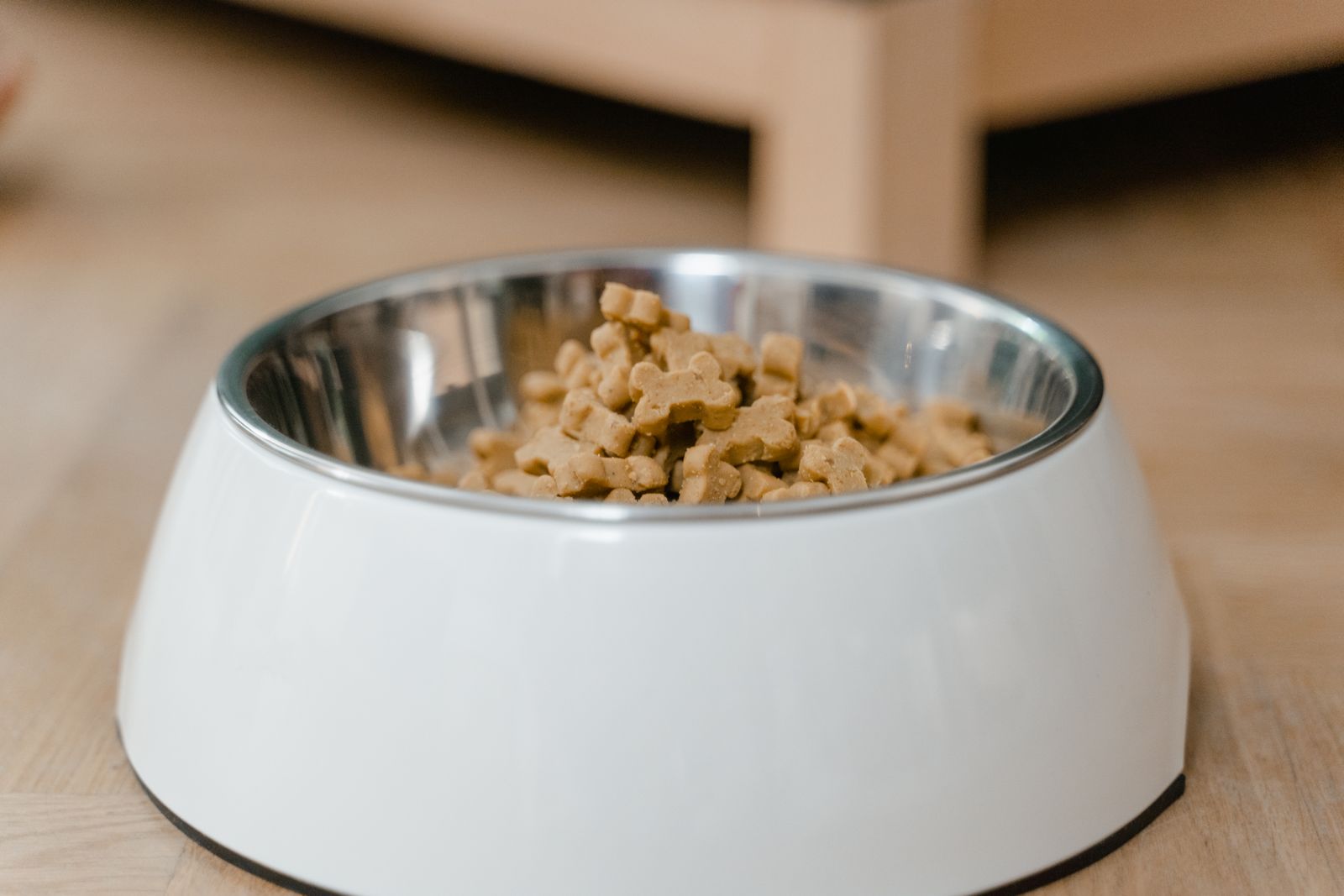 Guía básica sobre alimentos para mascotas